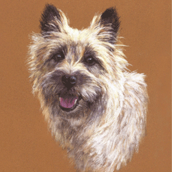 Miscellaneous gallery Florence - pastel by Jon Asher